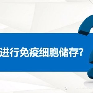 保險經(jīng)紀(jì)新標(biāo)桿 陳春雷如何以專業(yè)與信任贏得市場