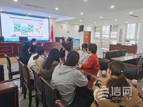 網絡技術服務 賦能未來生活的核心引擎